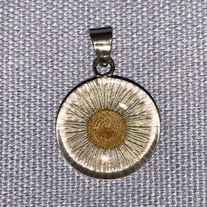 Dried Flower Daisy Round Pendant Necklace.